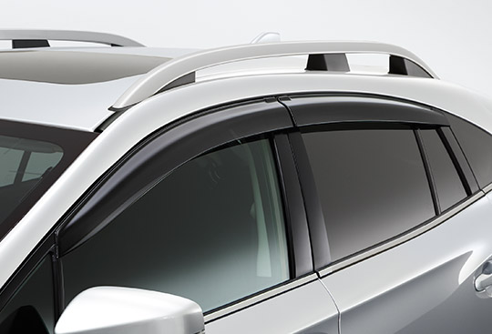 <sg-lang1>Door Visor</sg-lang1><sg-lang2></sg-lang2><sg-lang3></sg-lang3>