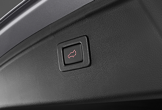 <sg-lang1>Power Rear Gate Switch</sg-lang1><sg-lang2></sg-lang2><sg-lang3></sg-lang3>