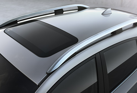 <sg-lang1>Roof Rails<sup>*1</sup></sg-lang1><sg-lang2></sg-lang2><sg-lang3></sg-lang3>