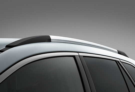 <sg-lang1>Roof Rails<sup>*(1)</sup></sg-lang1><sg-lang2></sg-lang2><sg-lang3></sg-lang3>
