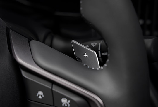 <sg-lang1>Paddle Shifters</sg-lang1><sg-lang2></sg-lang2><sg-lang3></sg-lang3>