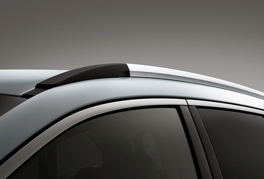 <sg-lang1>Roof Rails</sg-lang1><sg-lang2></sg-lang2><sg-lang3></sg-lang3>